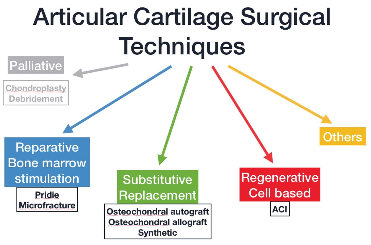 Réparation cartilagineuse du genou