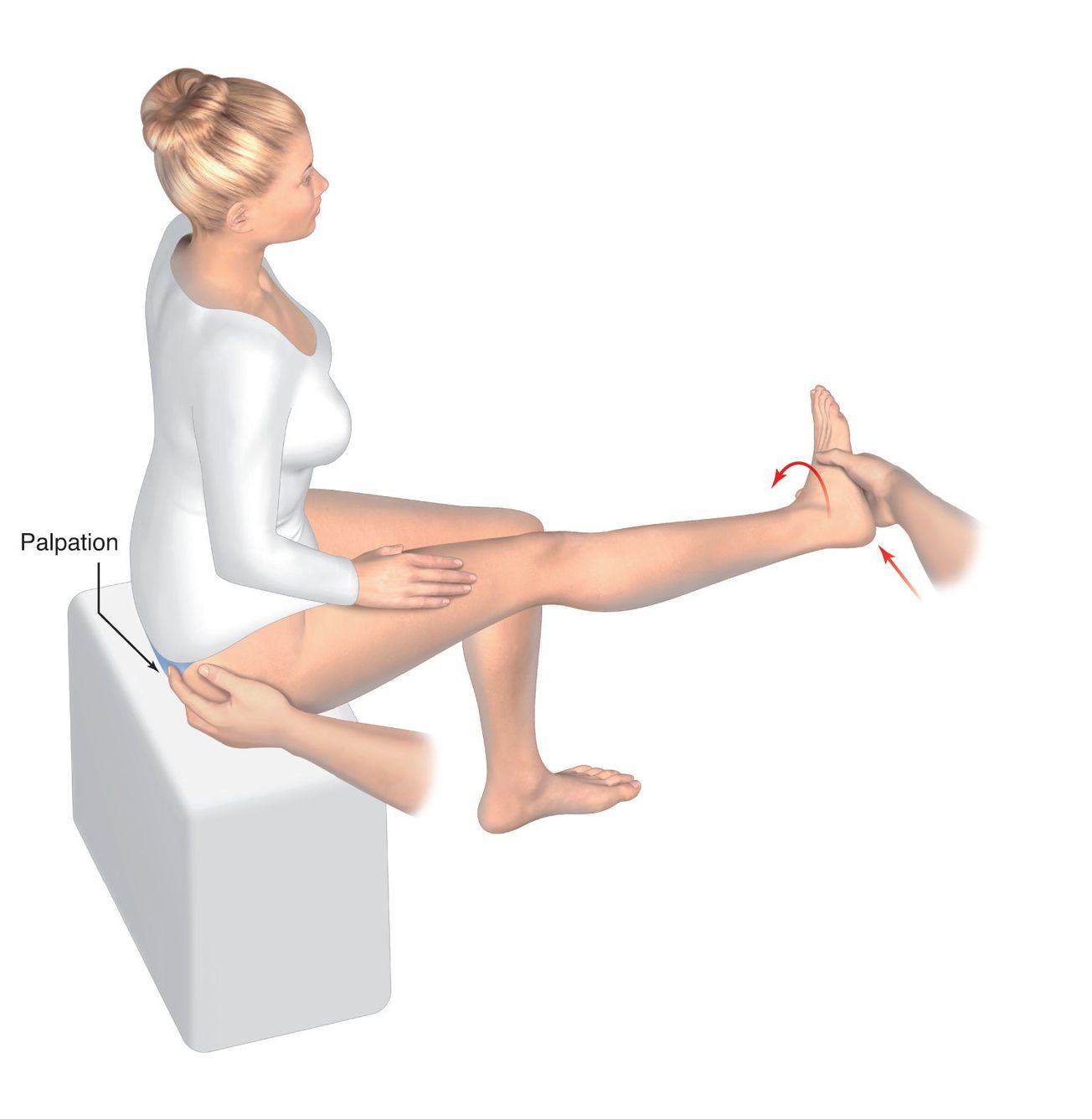 Ténotomie du piriforme et neurolyse sciatique sous endoscopie :  Pourquoi ? Comment ?