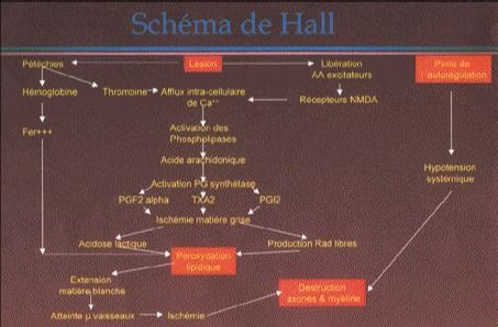 Prise en charge initiale des traumatismes médullaires