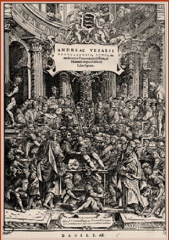 La découverte du corps à la Renaissance à travers la lecture de la leçon d'anatomie