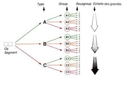 Le système intégral de classification des fractures de maurice Muller
