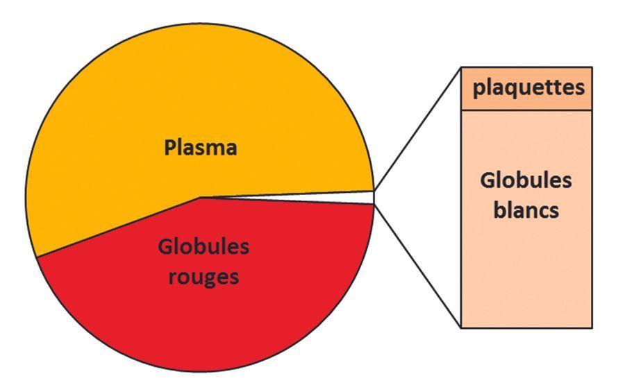 Préparations standardisées de plasma autologue  riche en plaquettes (PRP) et de cellules de moelle osseuse destinées à un usage thérapeutique en orthopédie