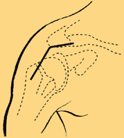 La voie supéro-externe de l'épaule