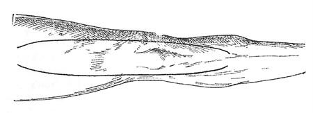 Les larges voies d'accès latéral de l'articulation du genou