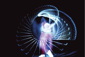 Lésions de surmenage de l'appareil locomoteur chez le sportif. 5° journées de traumatologie de la Pitié-Salpétrière.