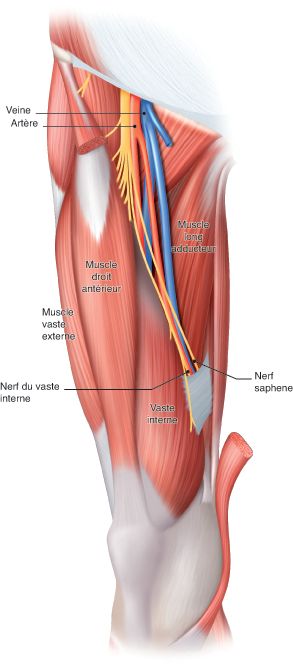 Bloc du canal des adducteurs pour analgésie postopératoire après chirurgie du genou