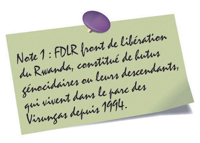 La traumatologie au coeur des ténèbres, à propos d'une mission chirurgicale à l'hôpital de Rutshuru (nord Kivu) - RDC