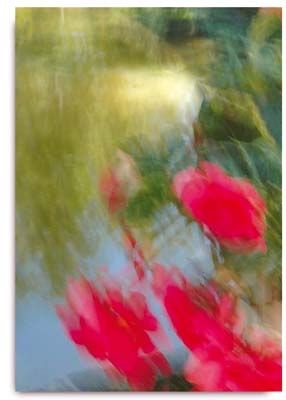 Il y a des coups de pinceau mais il n'y a pas de pinceau !