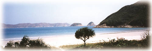 Bons baisers de Hong Kong : novembre 1997 - mai 1998