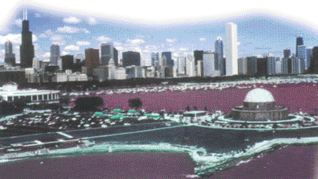 North American Spine Society