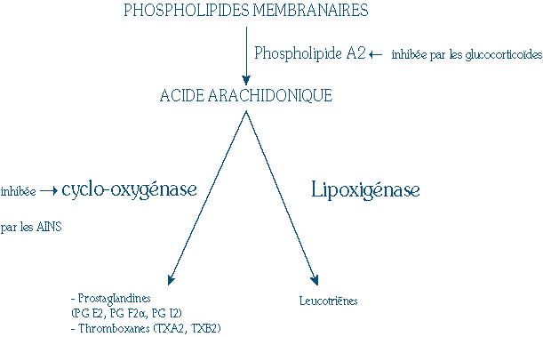 Prescription des anti-inflammatoires non stéroïdiens
