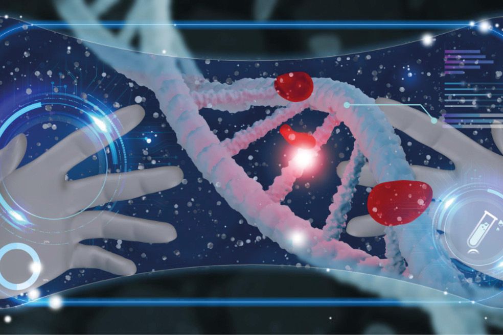 Immersion dans les réalités étendues – Outil de formation VR et spécificités du 180-FPV