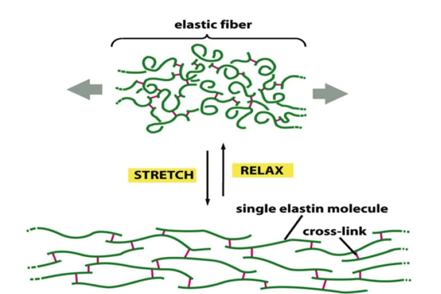 La transcollation : une approche innovante dans la conception du geste chirurgical des prothèses de hanche et de genou
