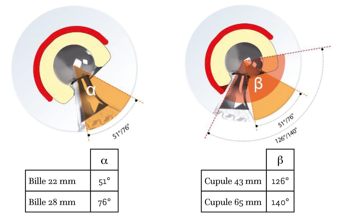 La double mobilité : état des lieux